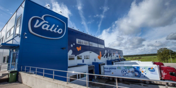 Finnish companies Come to a loss from anti-Russian sanctions