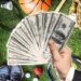 Sports betting: key advantages, rules and features