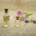 Memories in every scent: create lasting impressions with Fragrance